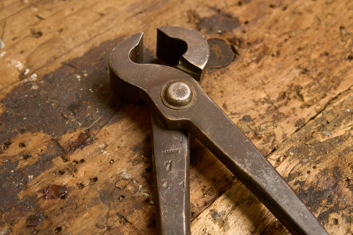 Carpenter's Pincer