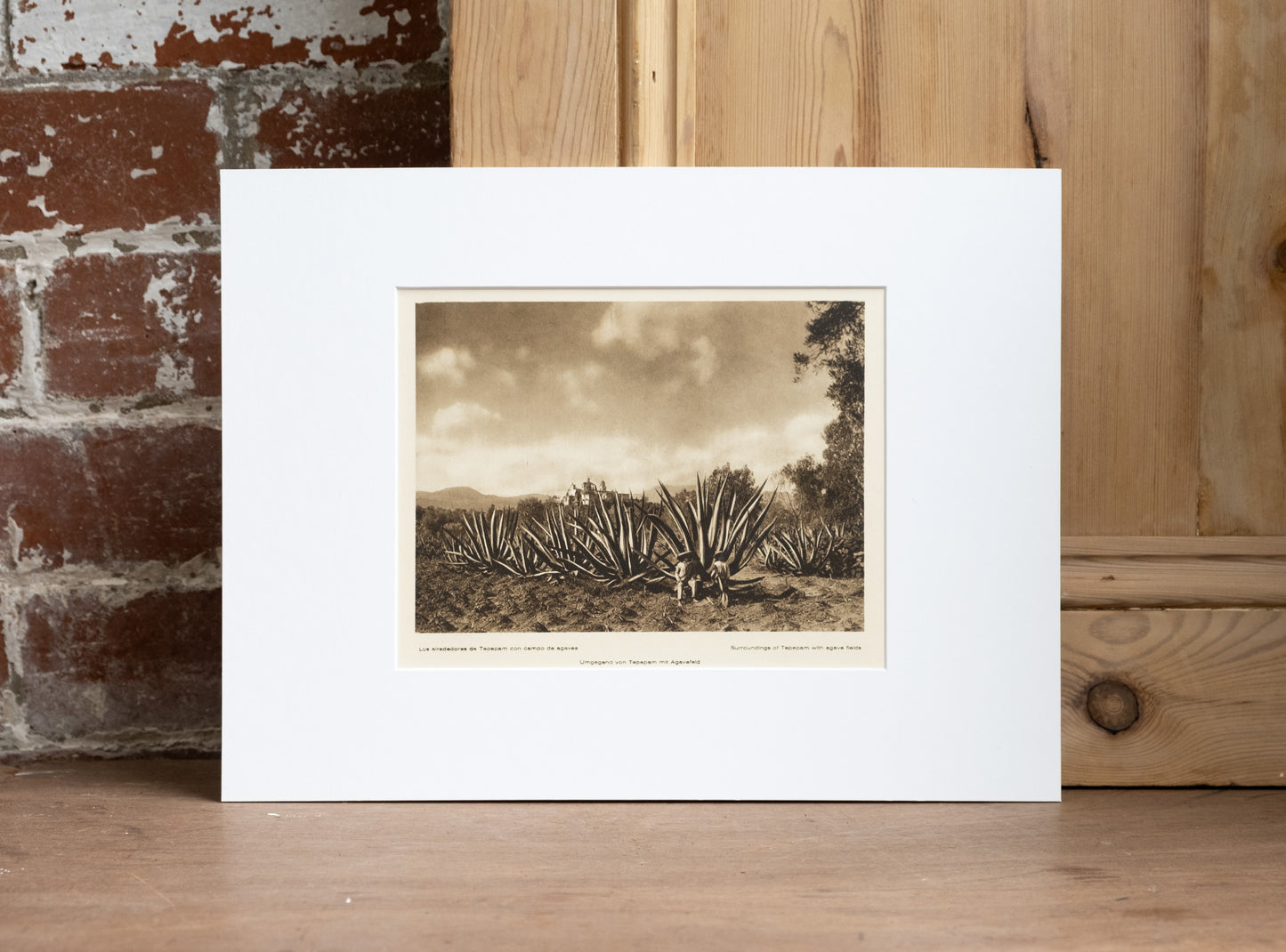 Old Mexico Gravure Prints - Landscape