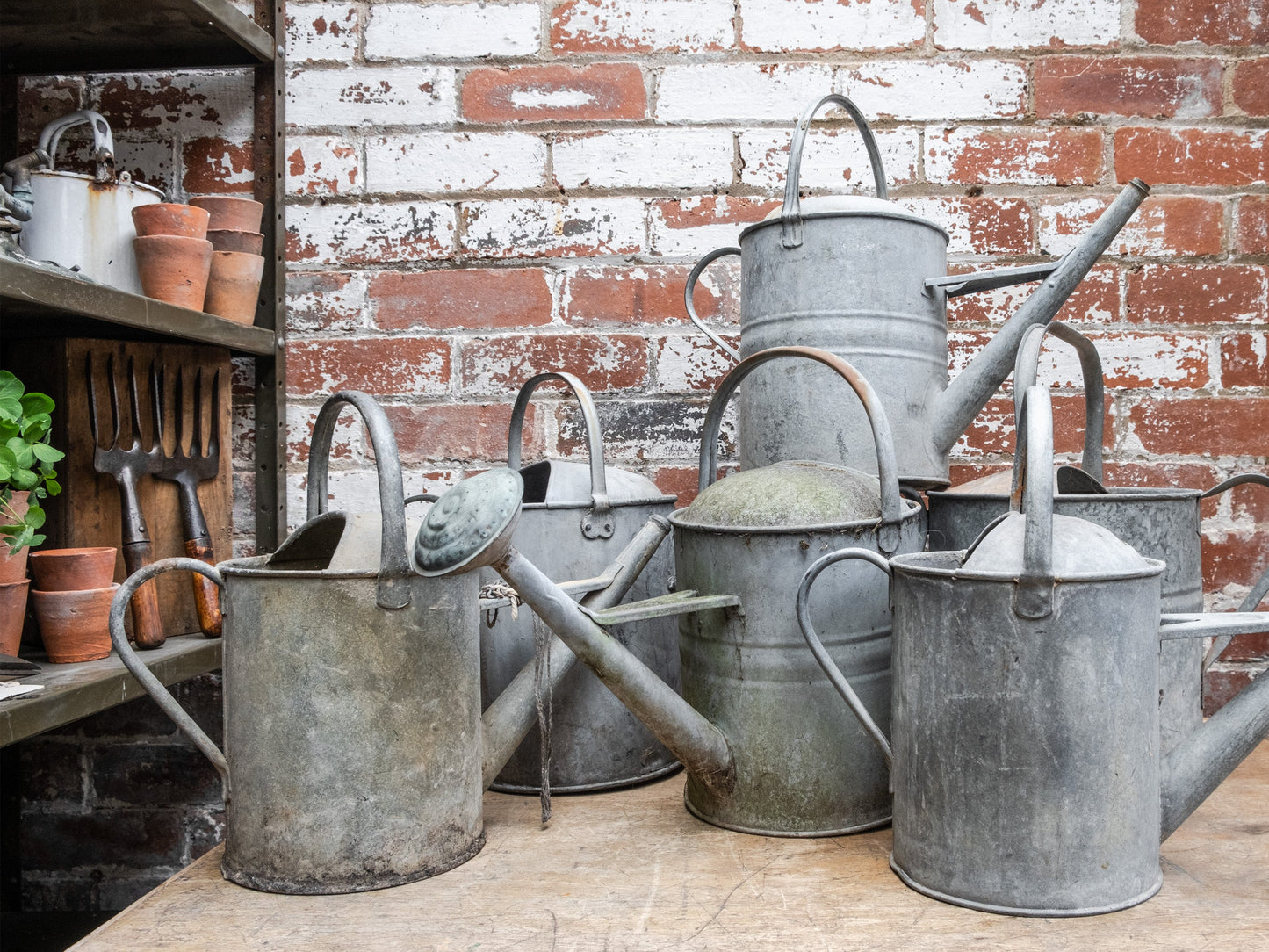 Watering Can by 'Beldray' - 1.5 Gallon