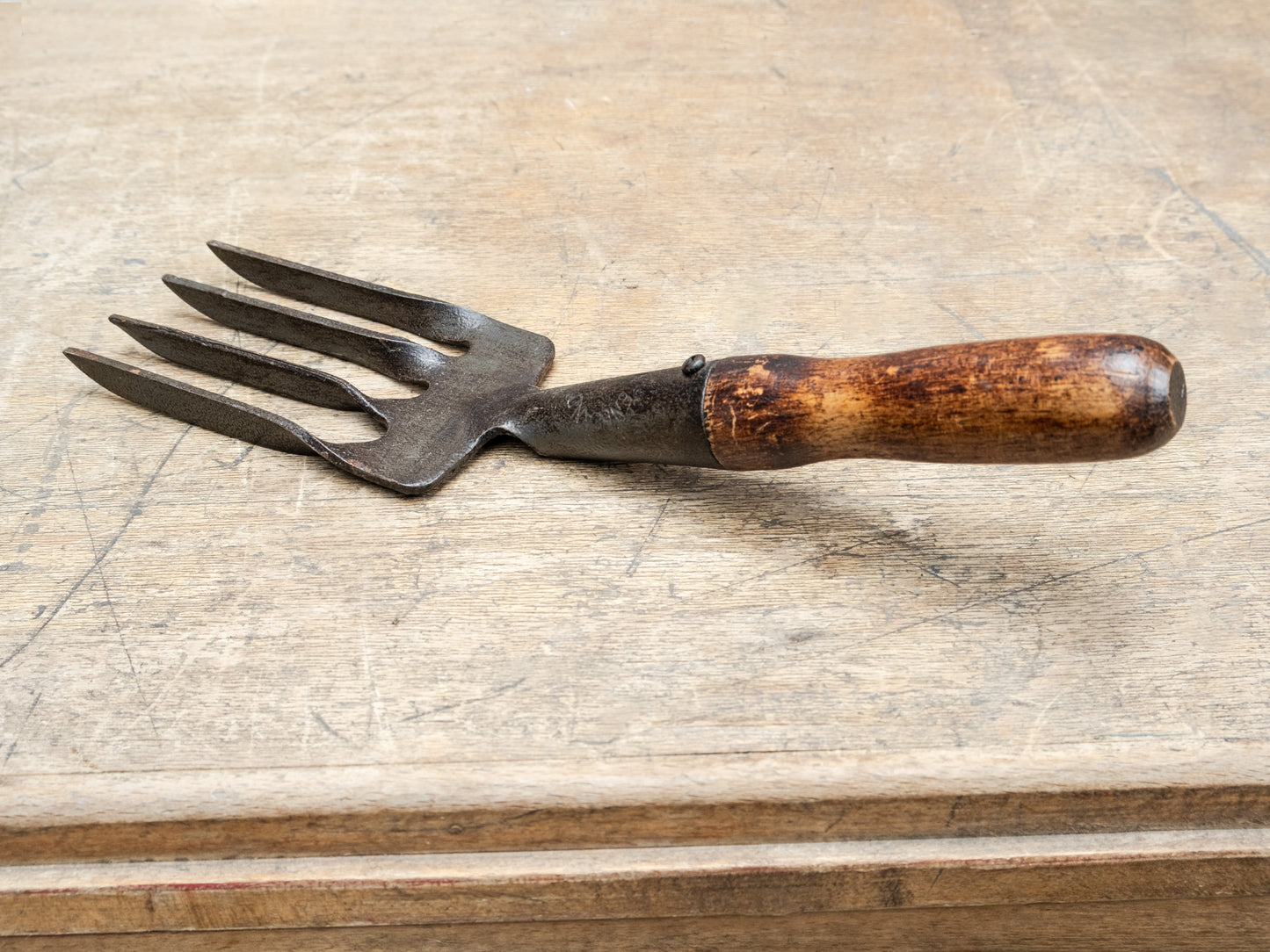 Garden Fork with Wooden Handle
