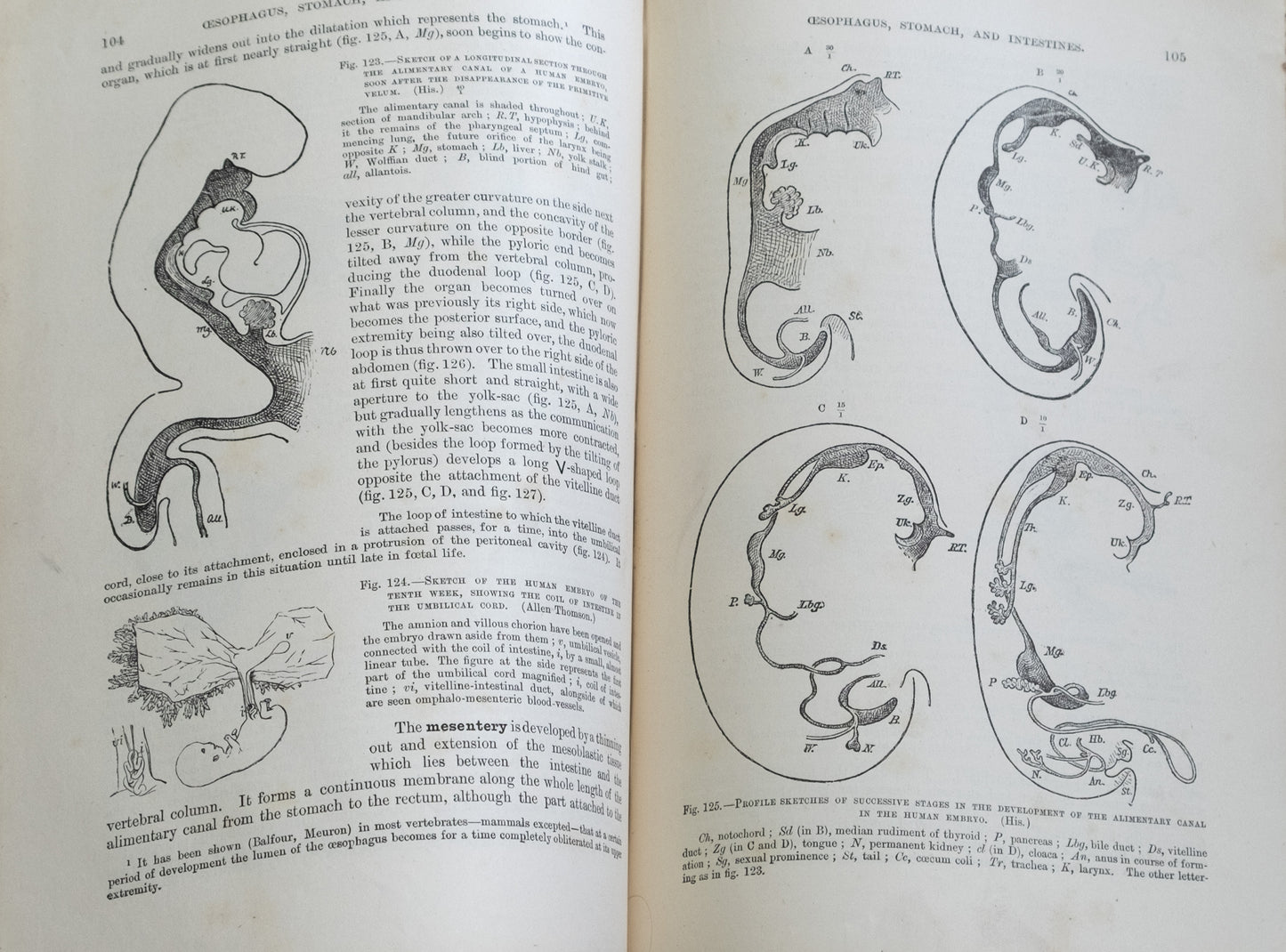 Quain's Anatomy Vol I: Embryology and Histology