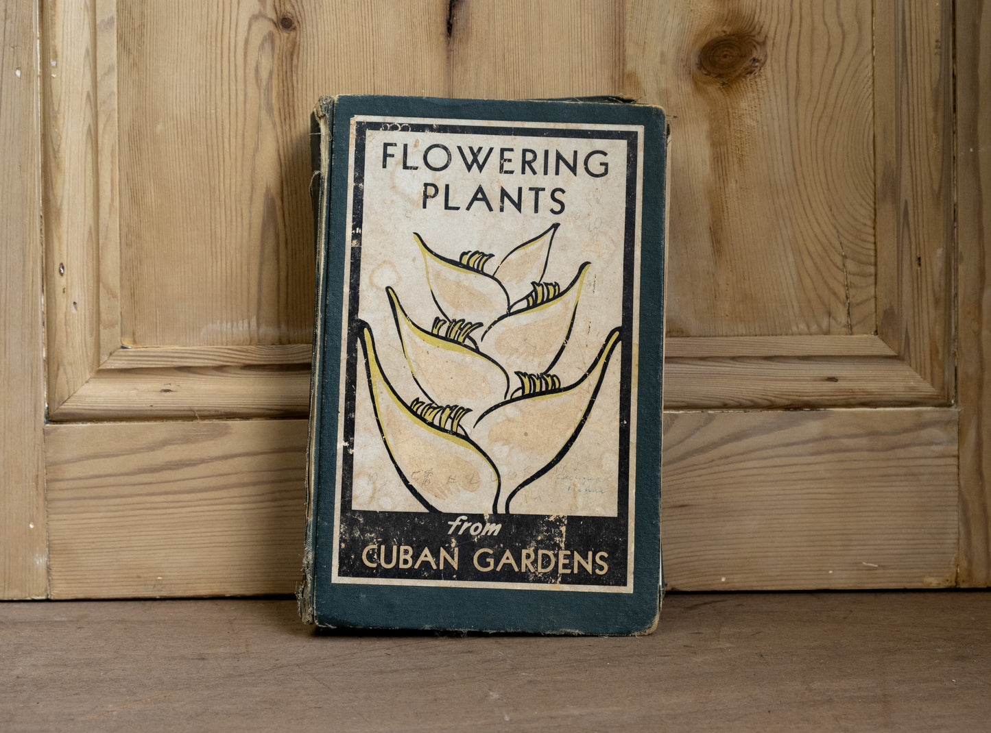 Flowering Plants from Cuban Gardens