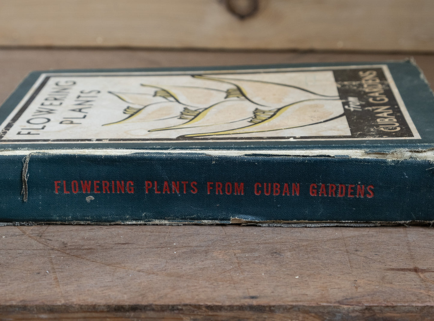 Flowering Plants from Cuban Gardens