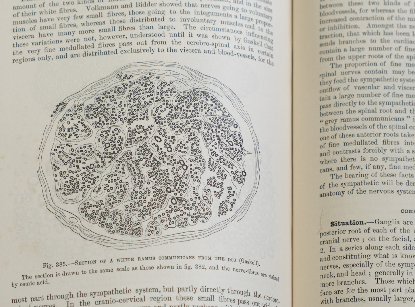 Quain's Anatomy Vol I: Embryology and Histology