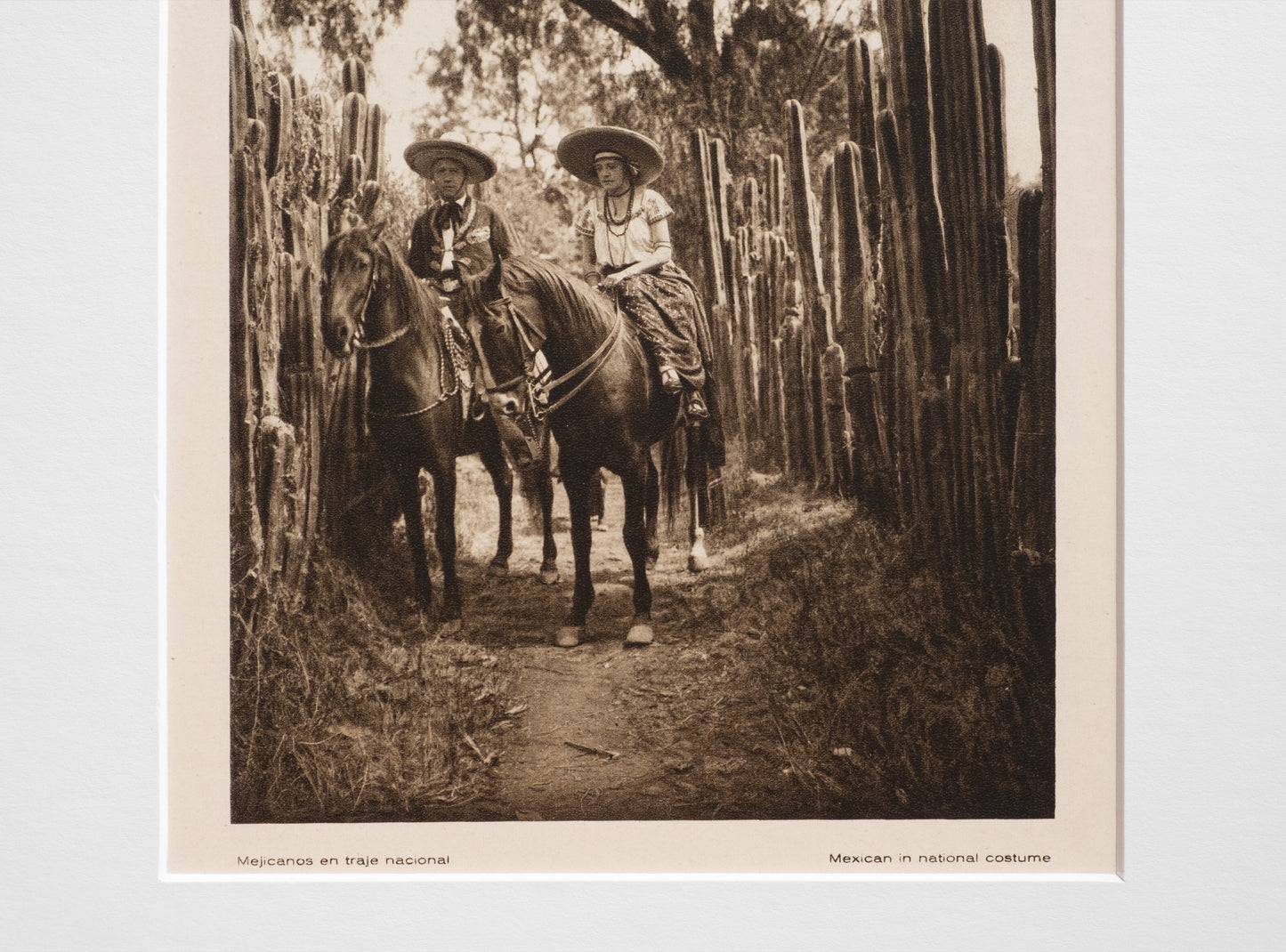 Old Mexico Gravure Prints - Portrait