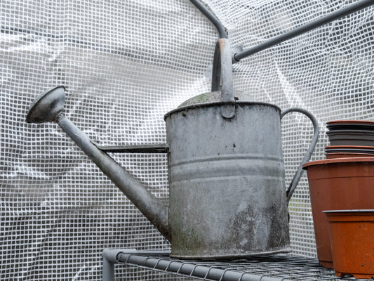 Galvanised Watering Can - Beldray with Rose