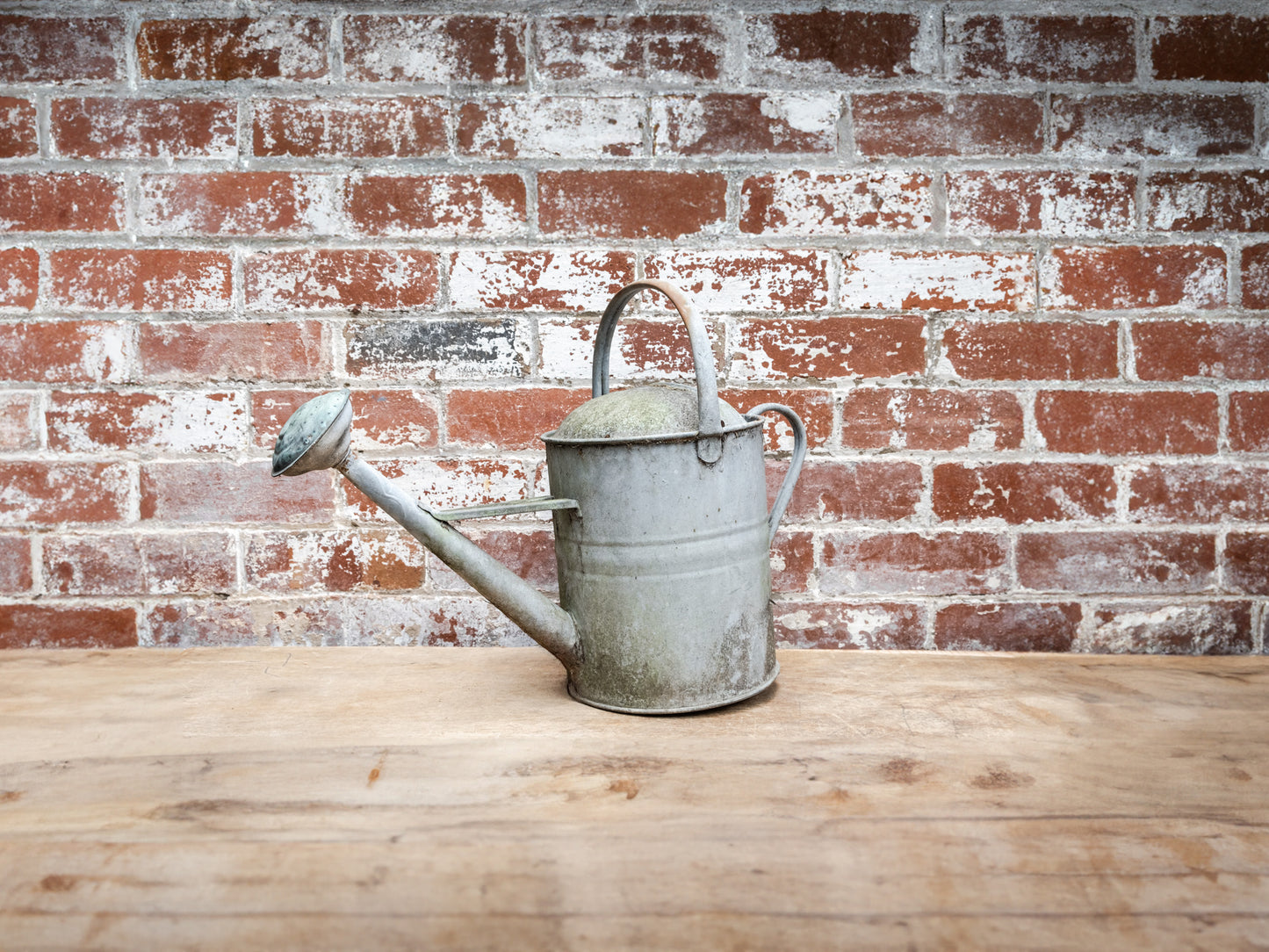 'Beldray' Watering Can with Rose