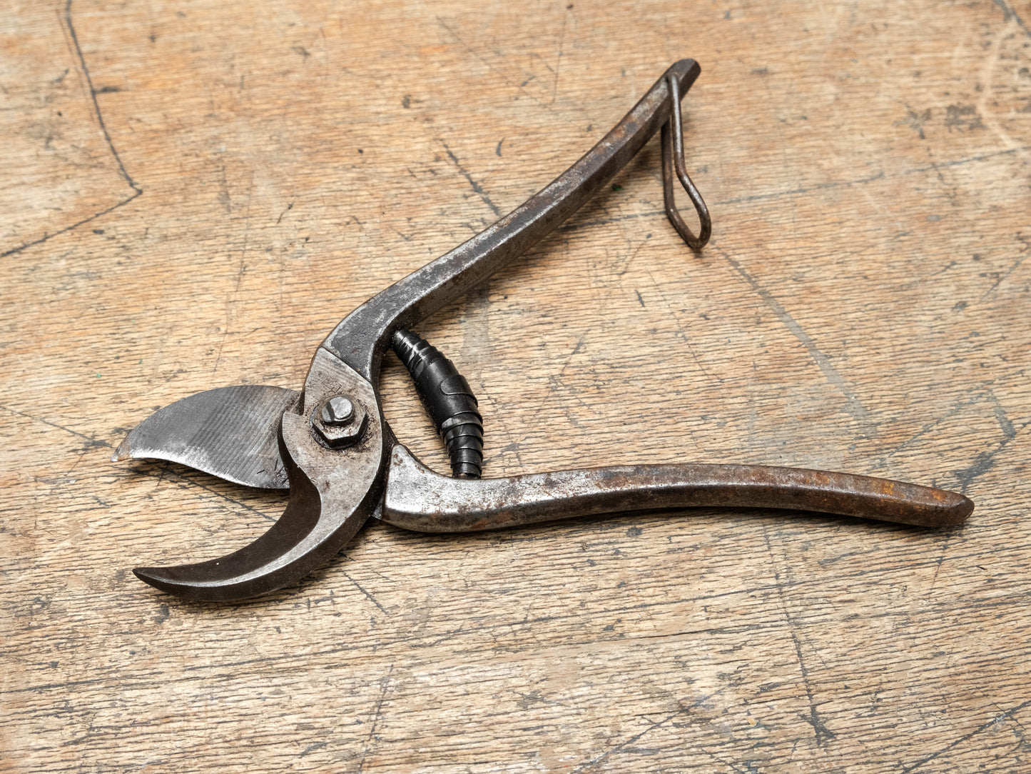 Secateurs