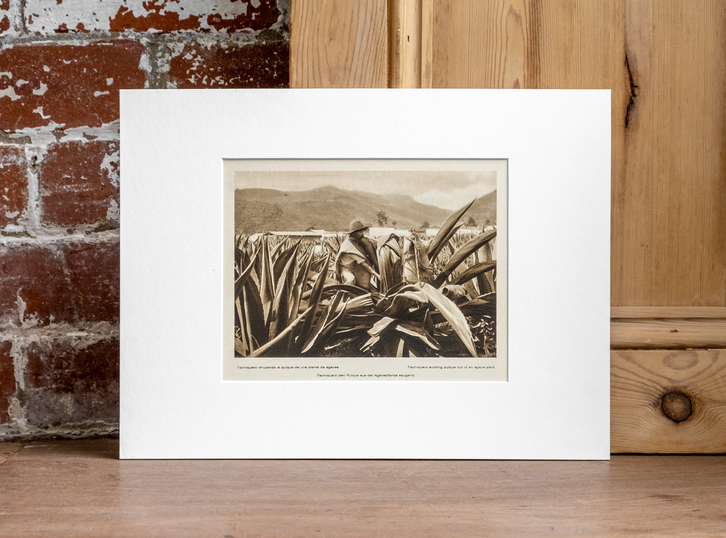 Old Mexico Gravure Prints - Landscape