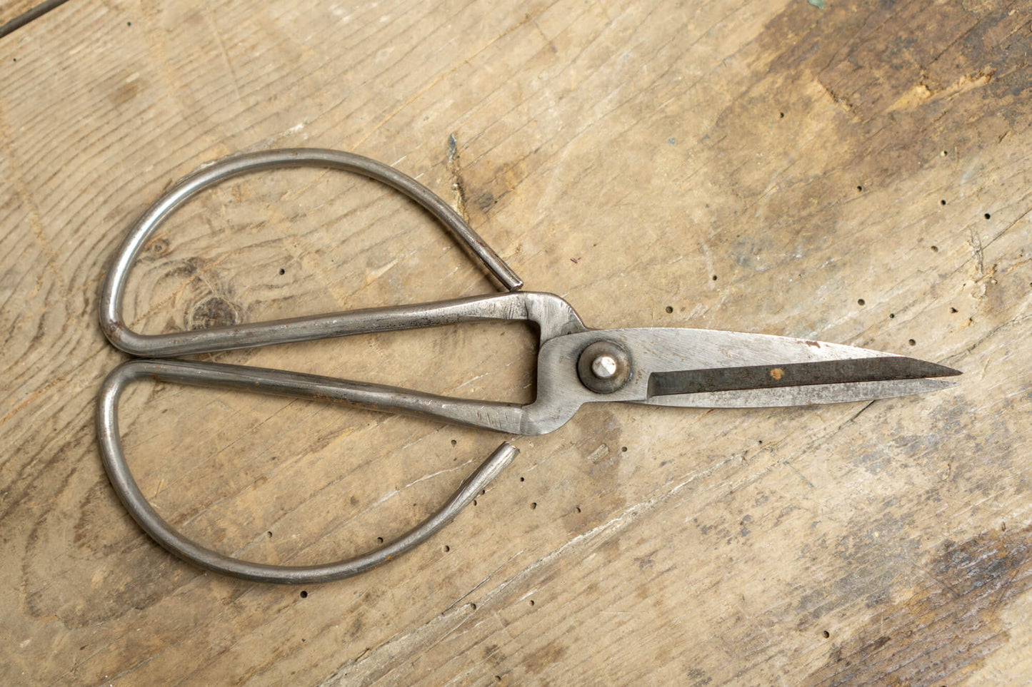 Utility Scissors