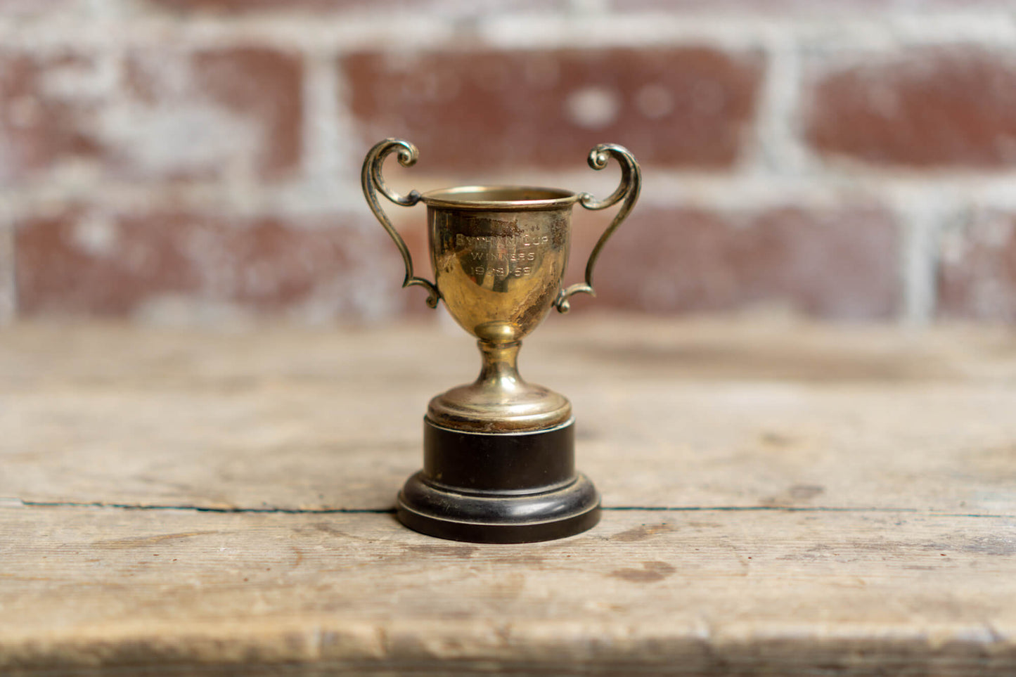 Ornamental Mini Trophies