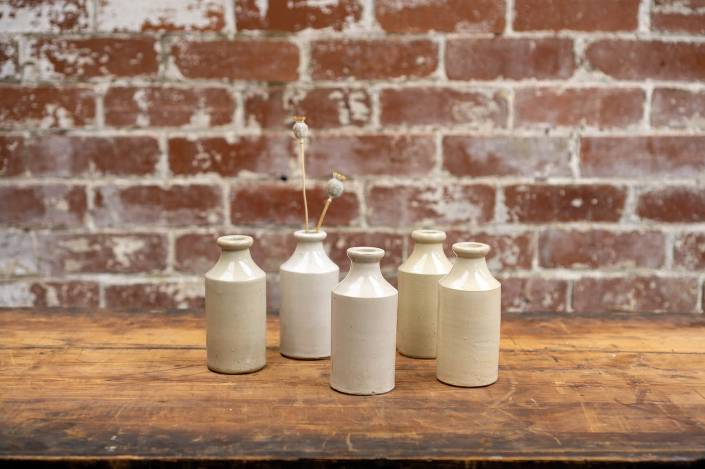 Image shows a collection of victorian stoneware bottles in shades of ivory, displayed neatly against a red brick wall backdrop