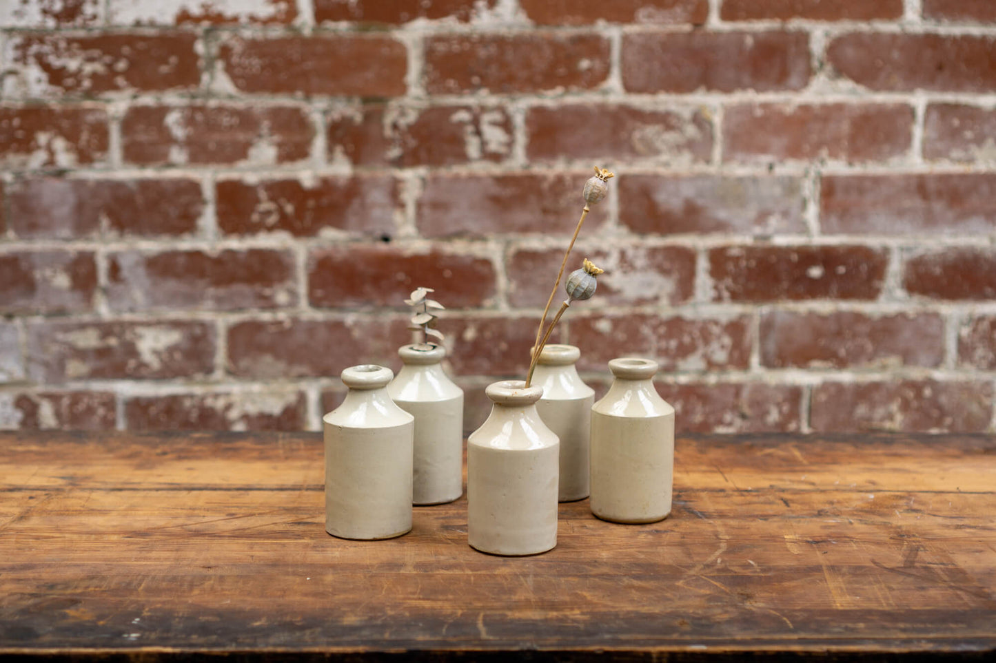 Image shows a collection of victorian stoneware bottles in shades of ivory, displayed neatly against a red brick wall backdrop