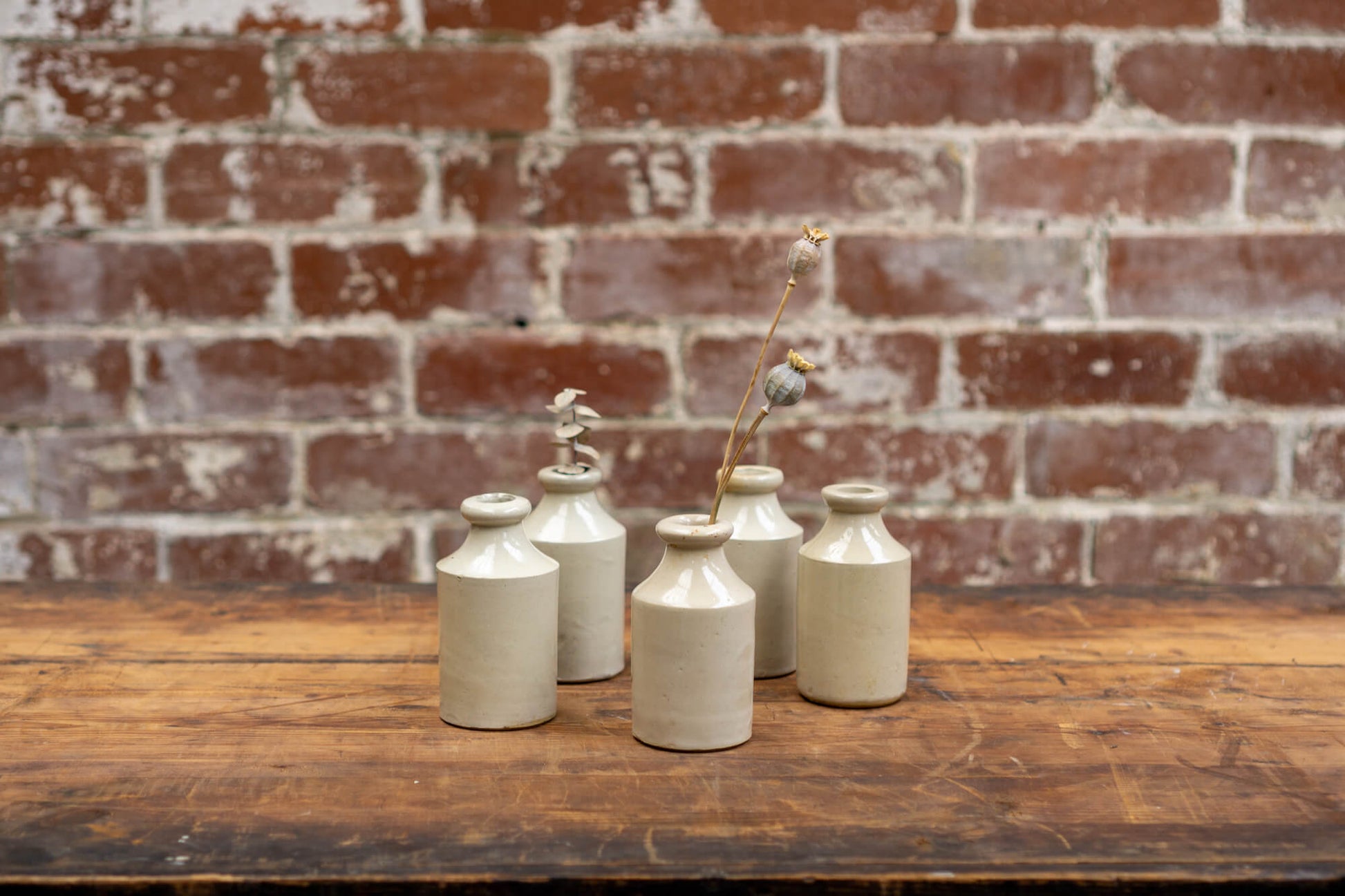 Image shows a collection of victorian stoneware bottles in shades of ivory, displayed neatly against a red brick wall backdrop